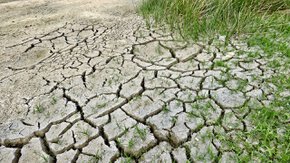 Nuova Strategia Europea sulla protezione del suolo: TAUW presenta il suo position paper